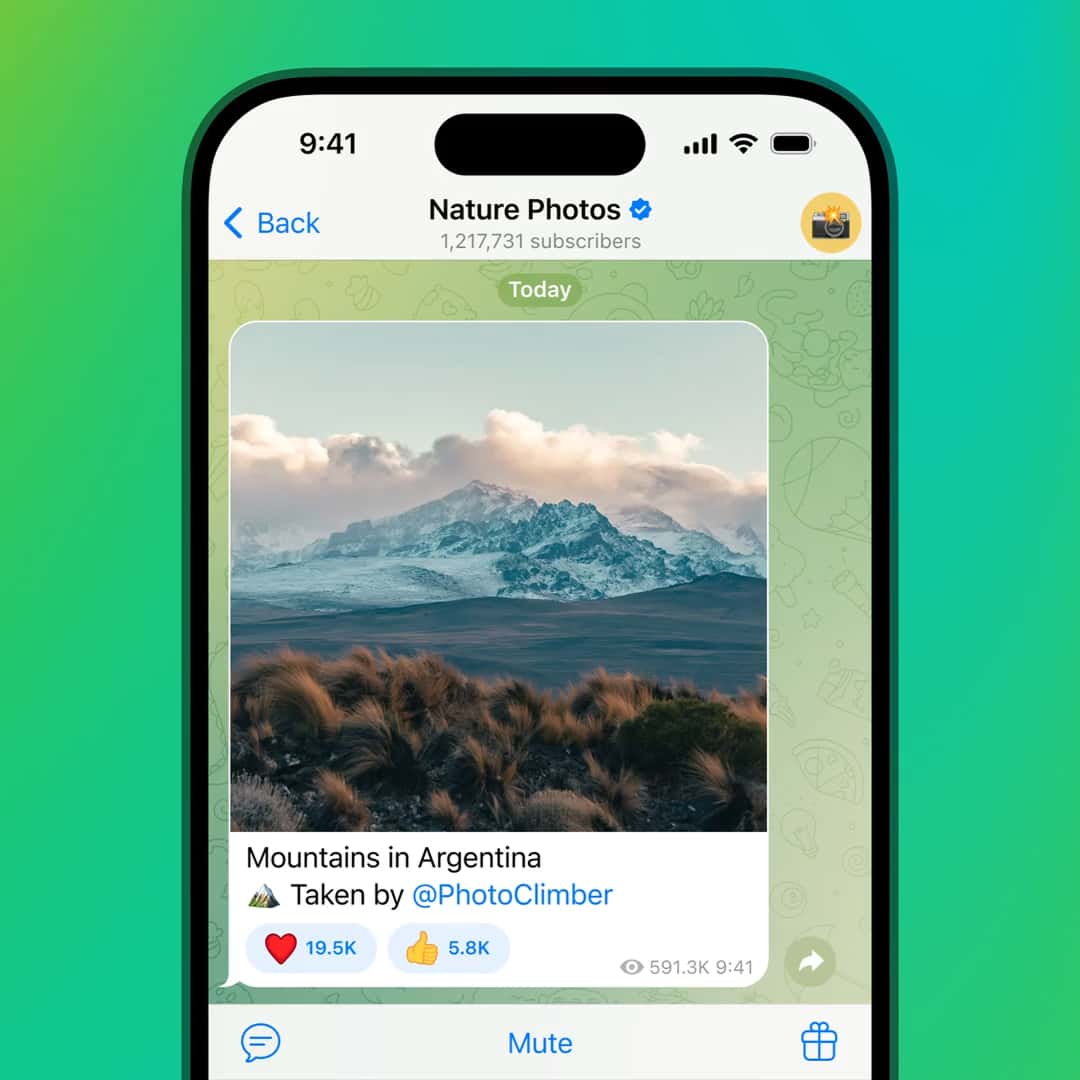 纸飞机telegramsite2
