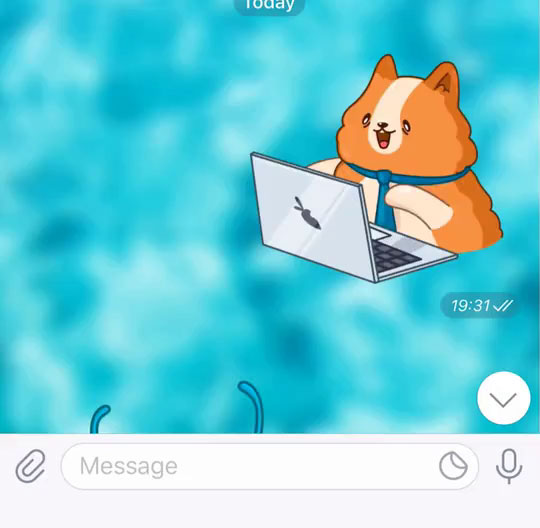 How To Make GIF Stickers for WhatsApp? Complete Guide - WebliHost