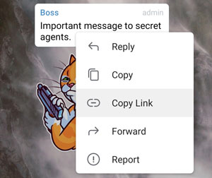 Copy links to individual messages in a private community