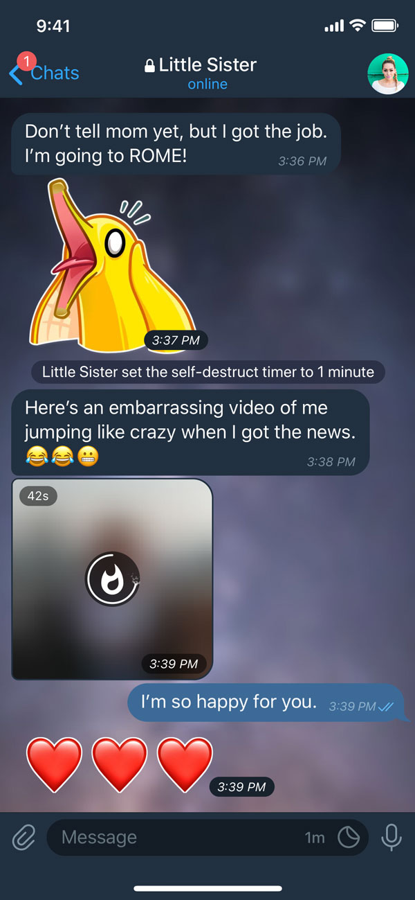 A secret chat with disappearing media as viewed on a device with dark mode enabled