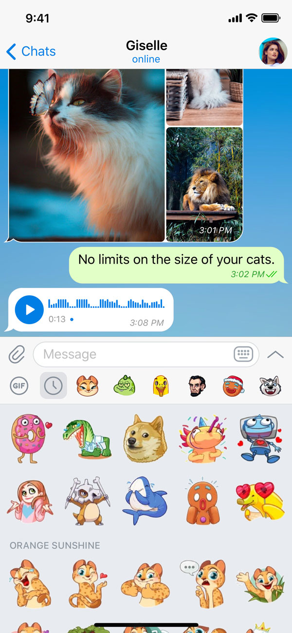 A private chat with a user, open sticker panel